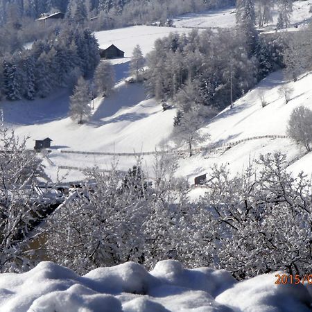 Ferienwohnungen Sonklar Fulpmes Exterior foto